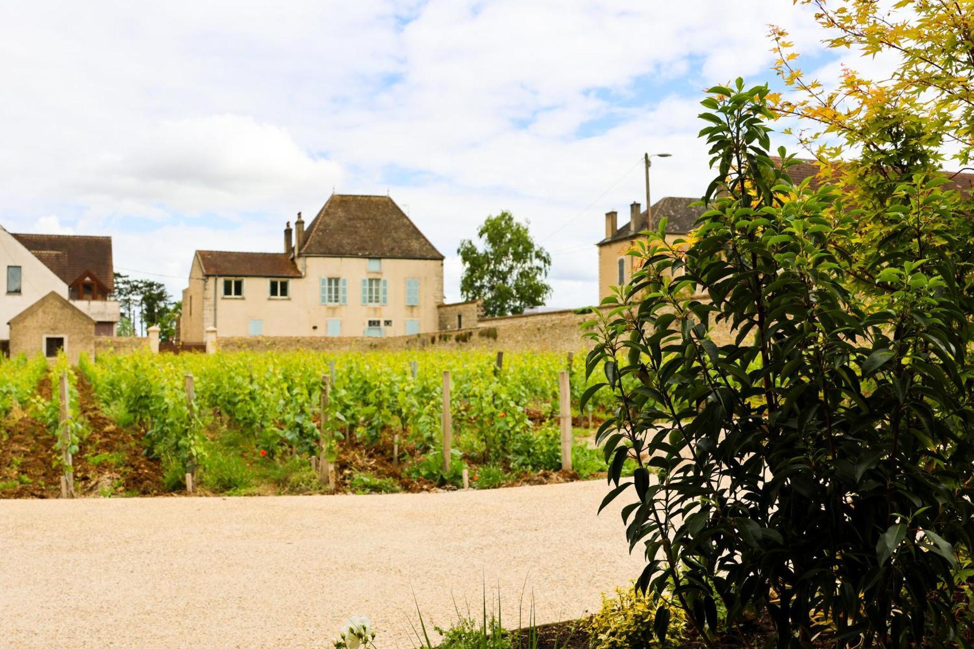 Hotel Particulier Adult Only Les Reveries Du Clos Spa Degustation Et Diner Sur Reservation Pommard Exteriér fotografie